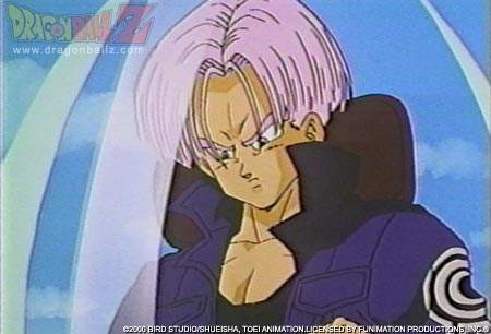 trunks_in_car.gif